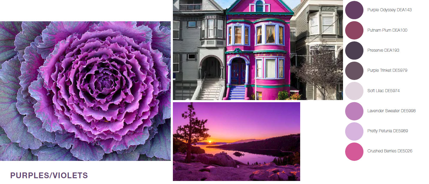 Purples.jpg