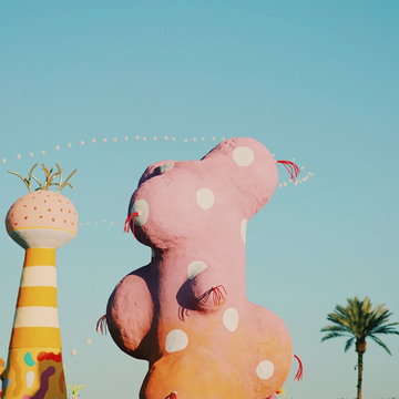 Regular coachella 6
