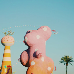 Small coachella 6