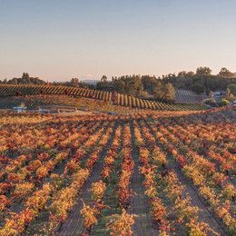 Small autumn clors sonoma
