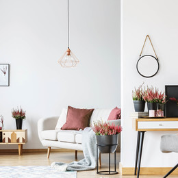 Small d e design process living room